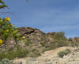 Land Zoning Law | Palm Springs | Palm Desert | Inland Empire